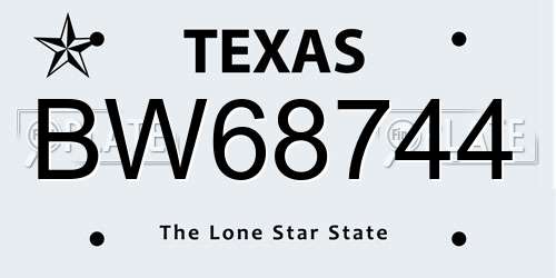 BW68744 Texas License Plate