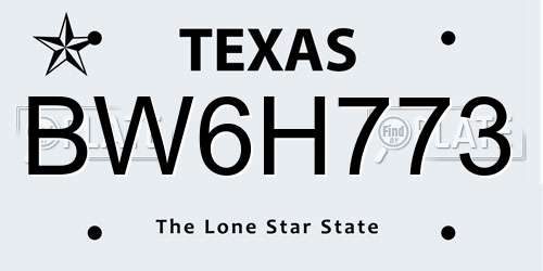 BW6H773 Texas License Plate