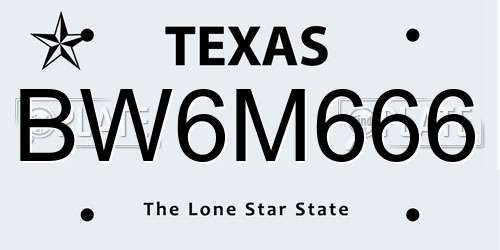 BW6M666 Texas License Plate