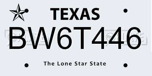 BW6T446 Texas License Plate