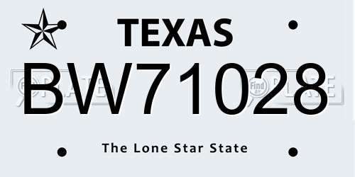 BW71028 Texas License Plate