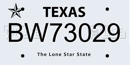 BW73029 Texas License Plate