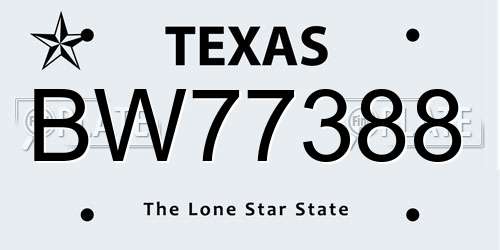 BW77388 Texas License Plate