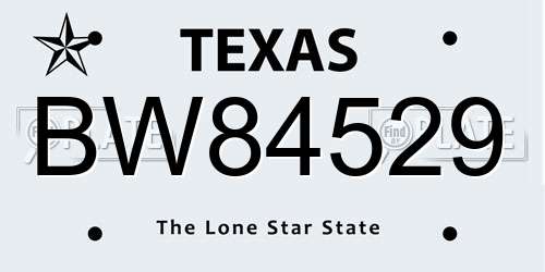BW84529 Texas License Plate
