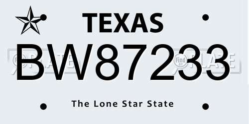 BW87233 Texas License Plate