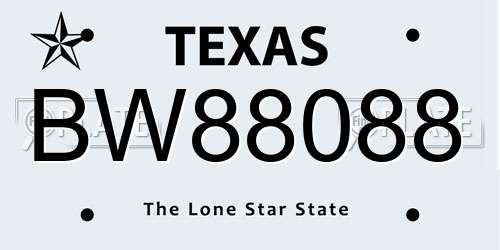 BW88088 Texas License Plate