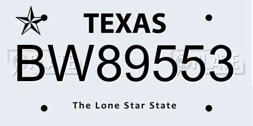 BW89553 Texas License Plate