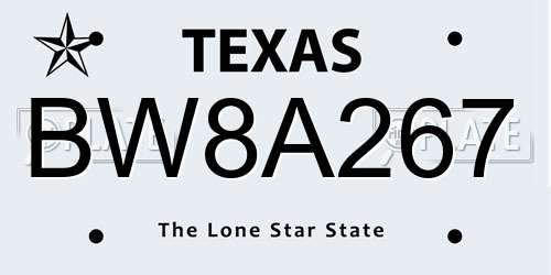 BW8A267 Texas License Plate