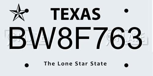 BW8F763 Texas License Plate