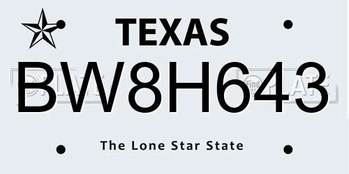 BW8H643 Texas License Plate