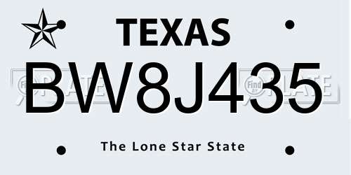 BW8J435 Texas License Plate
