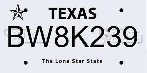 BW8K239 Texas License Plate