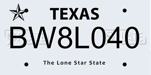 BW8L040 Texas License Plate