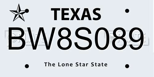 BW8S089 Texas License Plate
