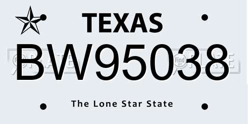 BW95038 Texas License Plate