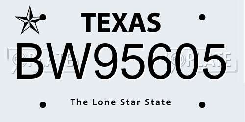 BW95605 Texas License Plate