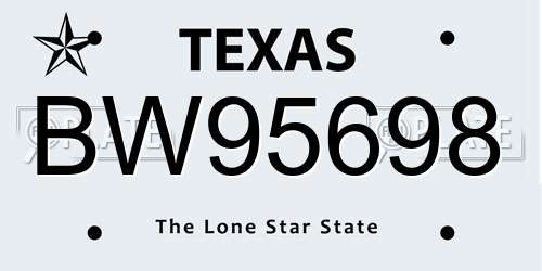 BW95698 Texas License Plate