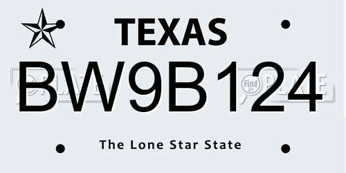 BW9B124 Texas License Plate