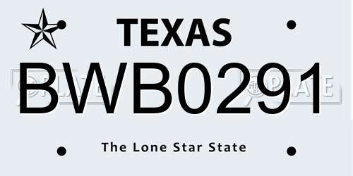 BWB0291 Texas License Plate