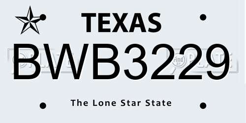 BWB3229 Texas License Plate