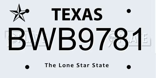 BWB9781 Texas License Plate
