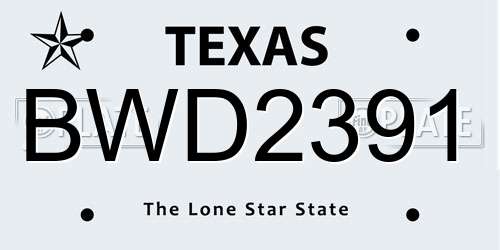 BWD2391 Texas License Plate