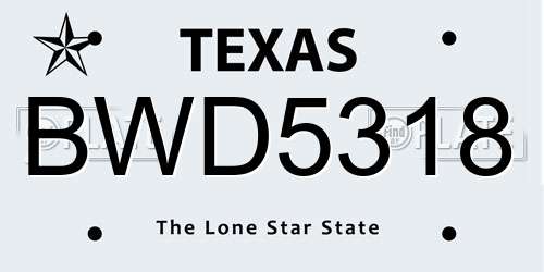 BWD5318 Texas License Plate