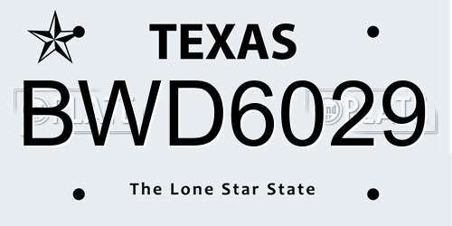 BWD6029 Texas License Plate