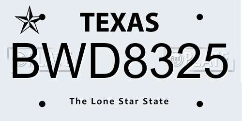 BWD8325 Texas License Plate