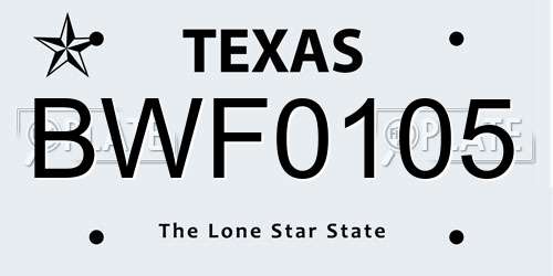 BWF0105 Texas License Plate