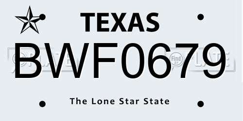 BWF0679 Texas License Plate