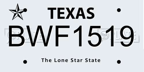 BWF1519 Texas License Plate