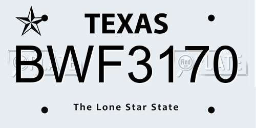 BWF3170 Texas License Plate