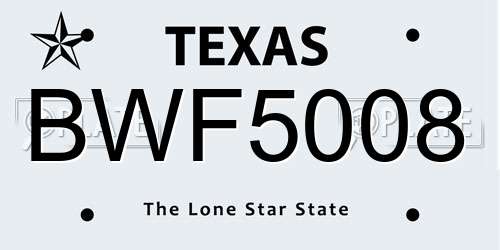 BWF5008 Texas License Plate