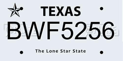BWF5256 Texas License Plate