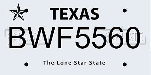 BWF5560 Texas License Plate