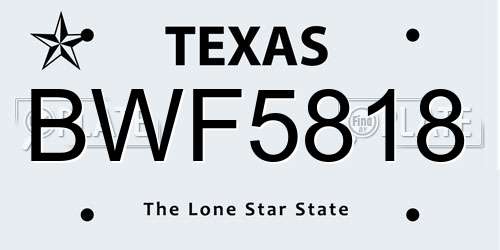 BWF5818 Texas License Plate