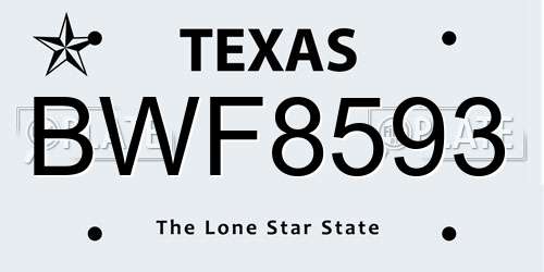 BWF8593 Texas License Plate