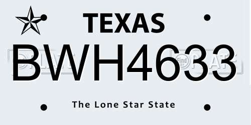 BWH4633 Texas License Plate