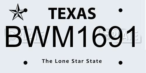 BWM1691 Texas License Plate