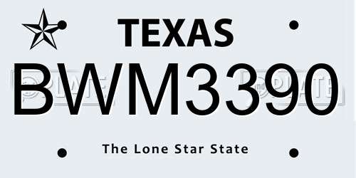 BWM3390 Texas License Plate