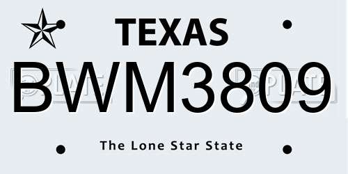 BWM3809 Texas License Plate
