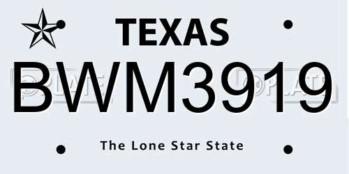 BWM3919 Texas License Plate