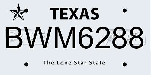BWM6288 Texas License Plate