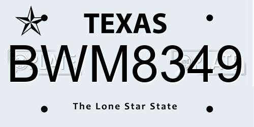 BWM8349 Texas License Plate