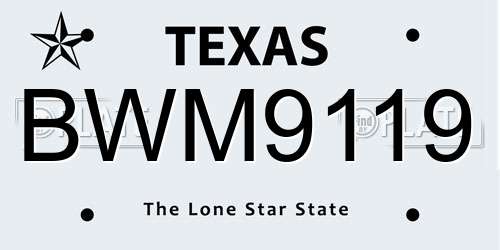 BWM9119 Texas License Plate