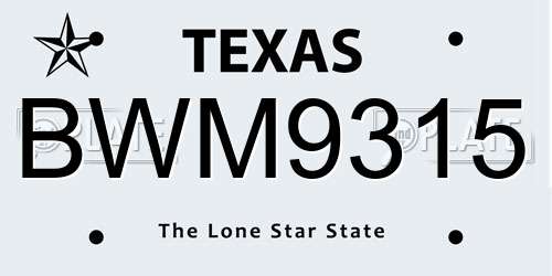 BWM9315 Texas License Plate