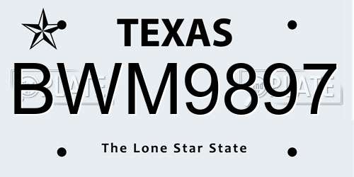BWM9897 Texas License Plate