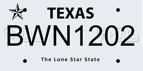 BWN1202 Texas License Plate