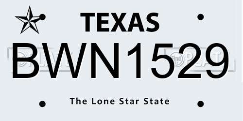 BWN1529 Texas License Plate